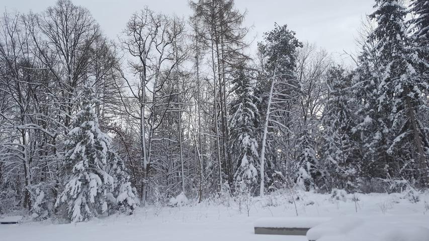 Ein zauberhaftes Winterwunderland von Nicole Schötz.