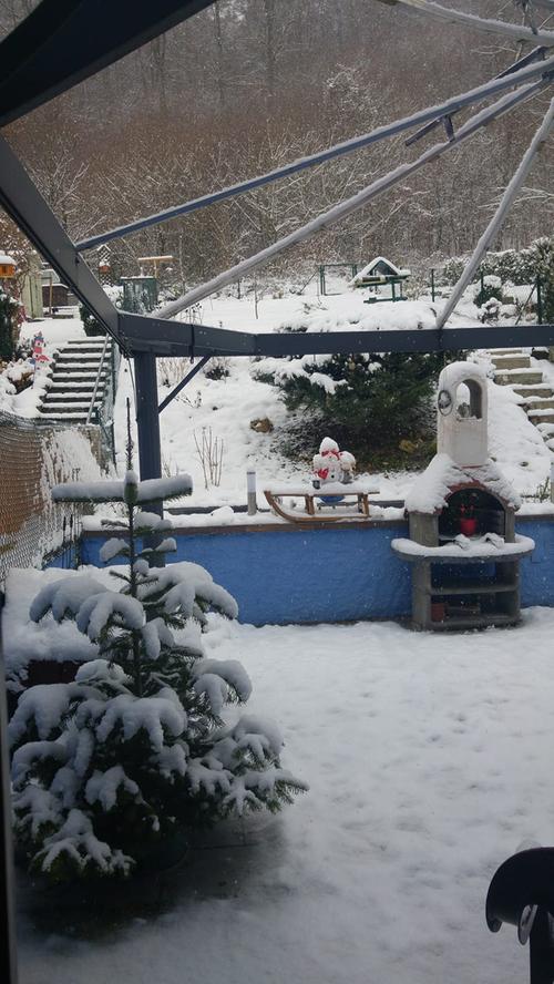 Der Garten von Rada Binöder aus Treuchtlingen mit ganz viel Schnee.