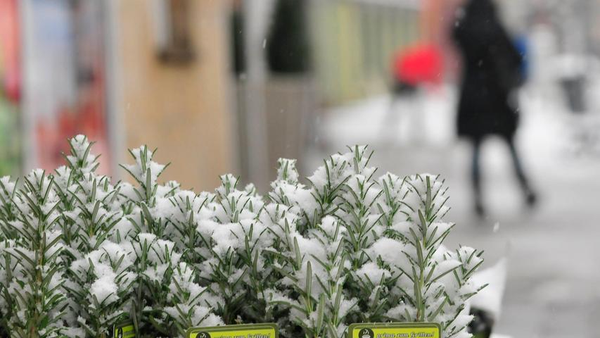 Weißer Wintereinbruch: Forchheim kämpft mit den Schneemassen