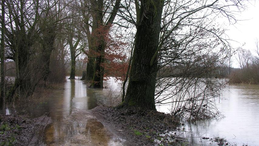Bei Windsfeld stehen bereits erste Bäume unter Wasser.