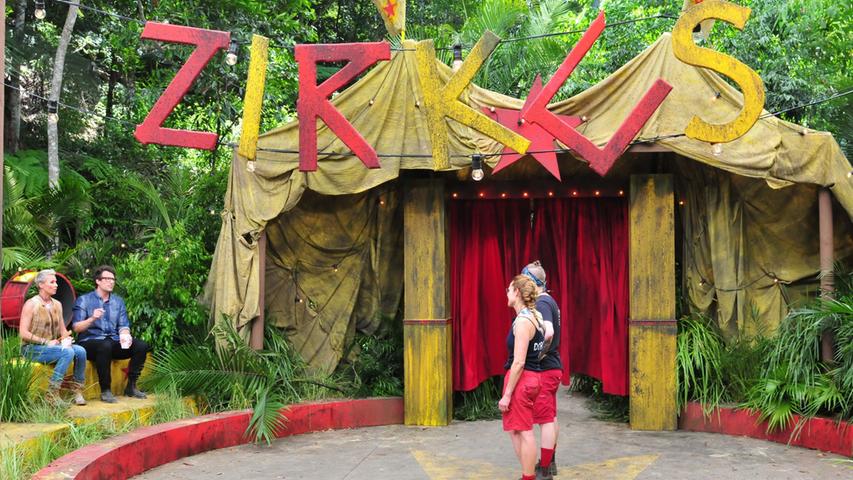 An Tag 9 im Dschungel geht es für Doreen und Felix in den "Zircus Felido". Dabei müssen die beiden Camper in unterschiedliche Rollen schlüpfen...