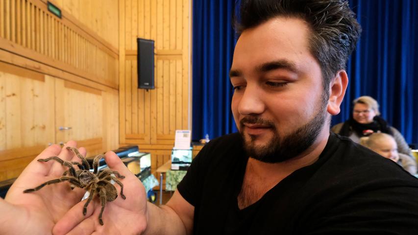 Das große Krabbeln: Spinnenshow in Neumarkt