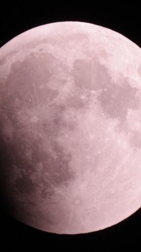 Für Experten war es eines der wichtigsten astronomischen Ereignisse dieses Jahres: Die totale Mondfinsternis in der Nacht von Sonntag auf Montag. Die schönsten Bilder des Blutmondes aus dem Landkreis Forchheim. Und hier gibt es Schnappschüsse der Mondfinsternis aus ganz Franken.