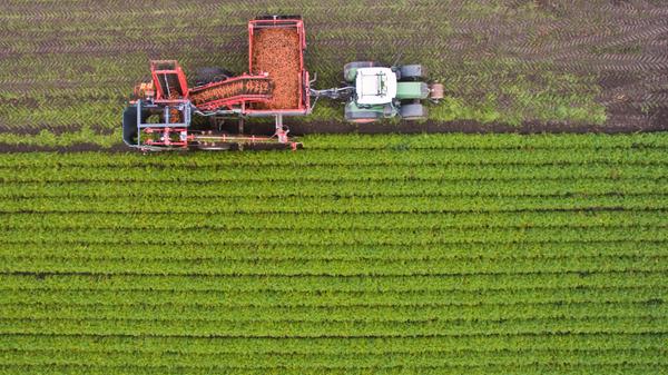 ... des Volksbegehrens: Der Anteil der Bio-Landwirtschaft an der Agrarfläche in Bayern soll von heute circa zehn Prozent auf mindestens 20 Prozent im Jahr 2025 und auf 30 Prozent im Jahr 2030 gesteigert werden. Der Grund: Öko-Bauern verzichten weitgehend auf giftige Chemikalien, davon sollen Bienen, Hummeln und andere Insekten profitieren. Zudem blühen auf Bio-Äckern oft mehr verschiedene Pflanzen, wodurch Insekten mehr Nahrung finden - und dadurch auch Vögel und andere Arten.