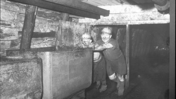 ...unter Tage mussten die Bergleute die Kohlekarren bewegen, die gefüllt etwa 14 Zentner schwer waren. In den 1930er Jahren wurden dafür noch Pferde eingesetzt. Sie waren ein Jahr in der Tiefe im Einsatz. Dann waren sie blind und mussten geschlachtet werden.