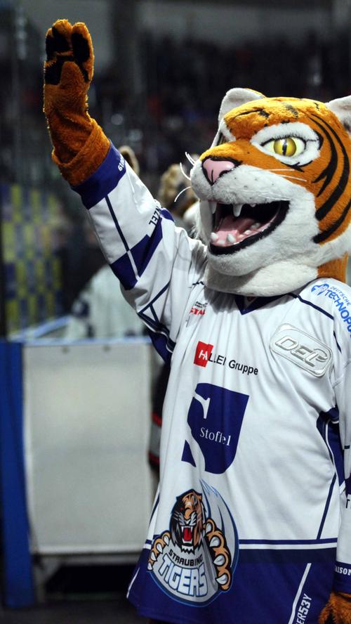 Eiskalte Verlängerung: Ice Tigers setzen sich auch gegen Straubing durch