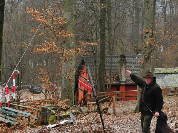 Hitzeschäden: Bäumen in Forchheim geht’s an die Kronen