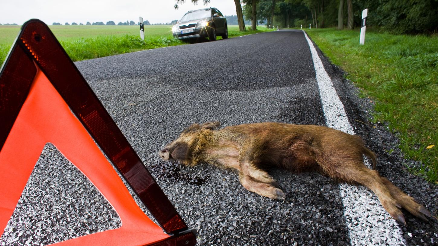 Bemerkenswert in der Parsberger Unfallstatistik für 2020: Mehr als die Hälfte aller Unfälle im Straßenverkehr waren auf einen Zusammenstoß mit Wildtieren zurückzuführen.