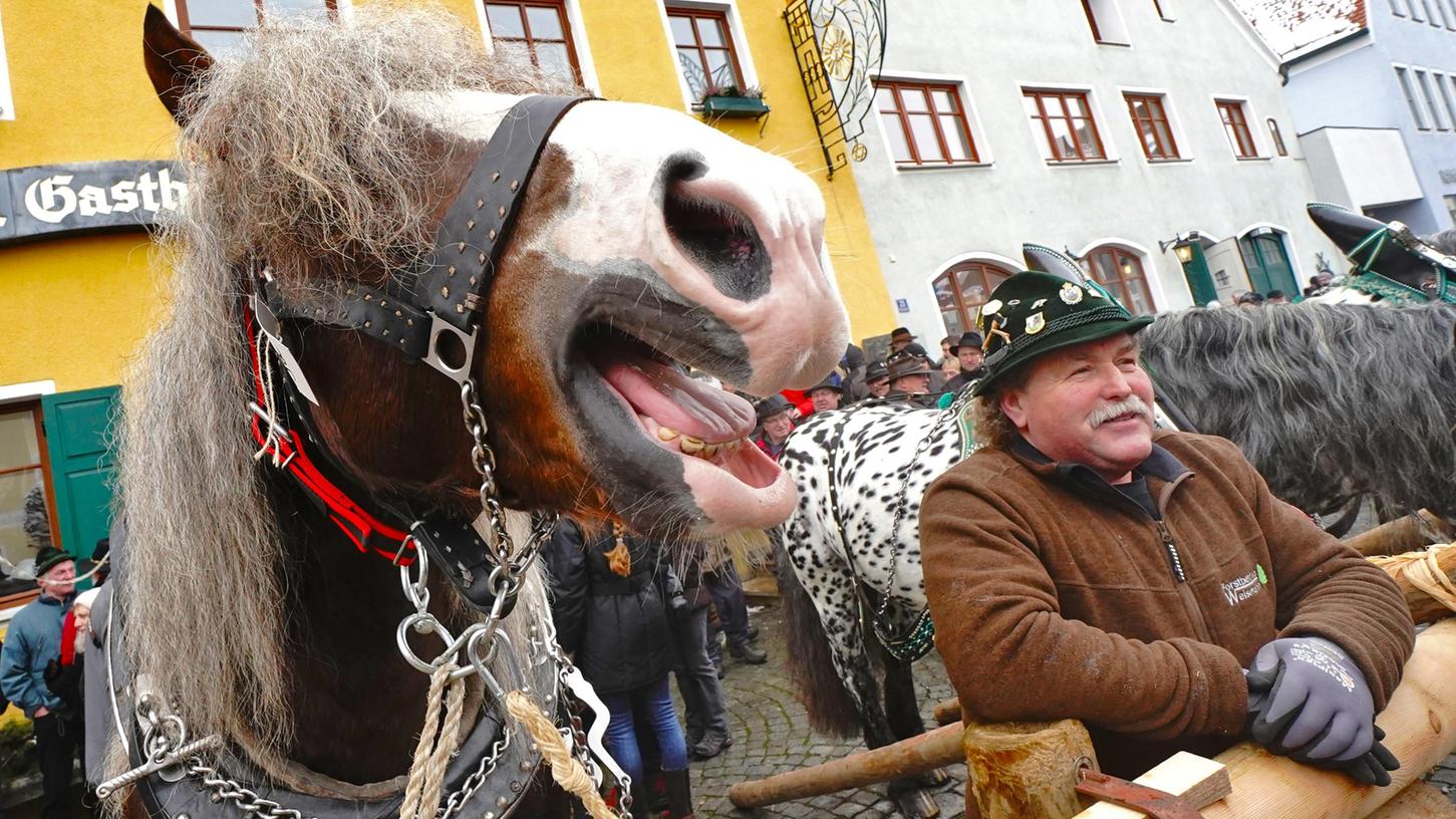 Nicht nur für Pferdefans ein echtes Spektakel: Der Rossmarkt in Berching lockt jedes Jahr etliche Besucher an.