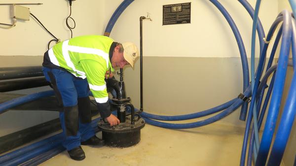 Hirschberggruppe Brunnen Möhren 3