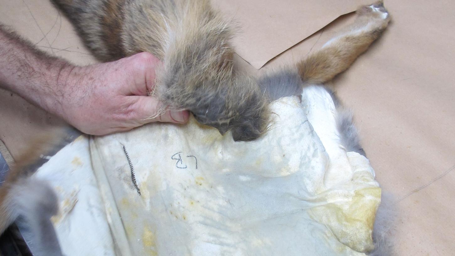 Deutsche Kürschner werben für tierleidfreien Pelz