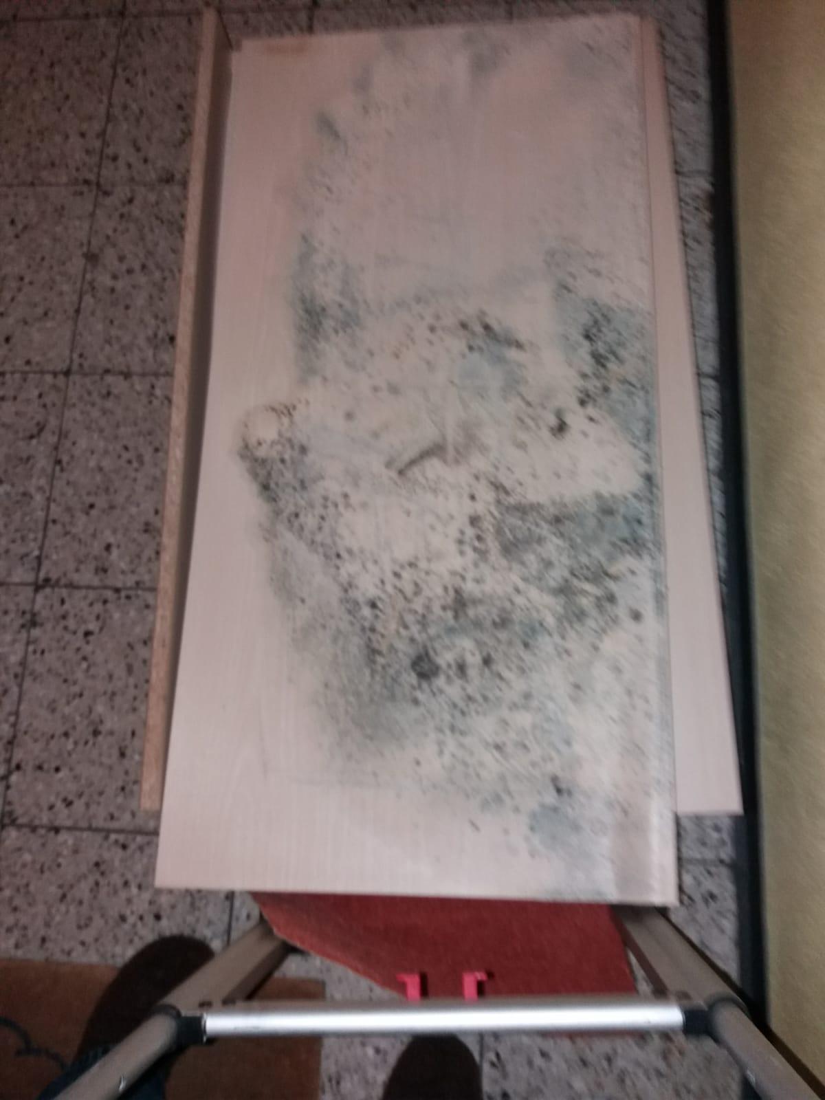 Schimmel-Horror statt gemÃ¼tlicher vier WÃ¤nde