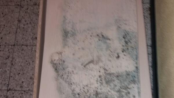 Schimmel-Horror statt gemütlicher vier Wände