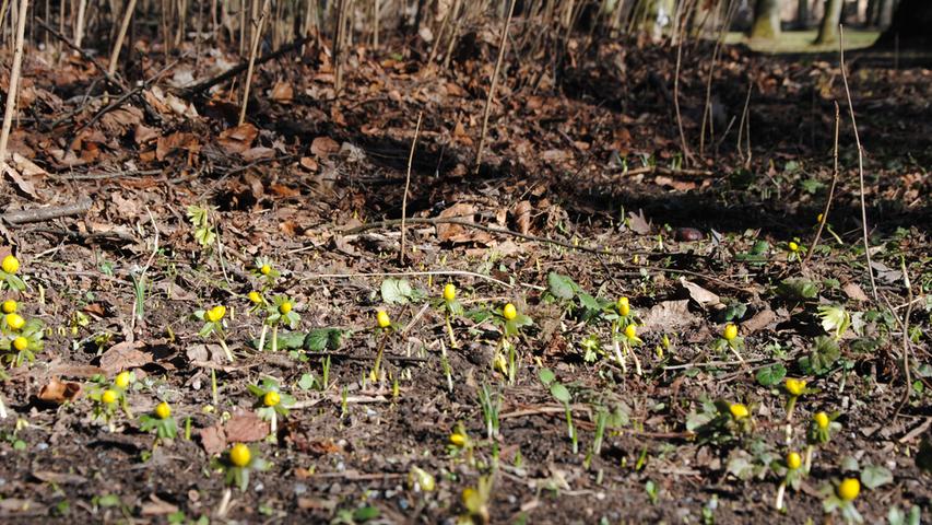 Der Frühling kommt: Schwabach im Sonnenschein