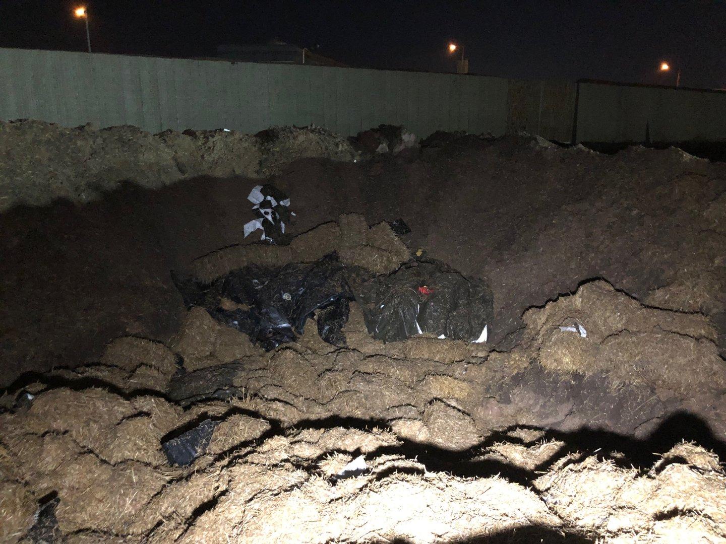 Am 18. Februar 2019 wurde bei Bauarbeiten an der Proeslerstraße in einem Industriegebiet in Höfen eine 250-Kilogramm-Bombe entdeckt. Die Polizei sperrte das Gebiet um den Fundort weiträumig ab, rund 5000 Menschen wurden evakuiert. Die Bombe musste gegen 23 Uhr schließlich kontrolliert gesprengt werden, eine Entschärfung war nicht möglich..