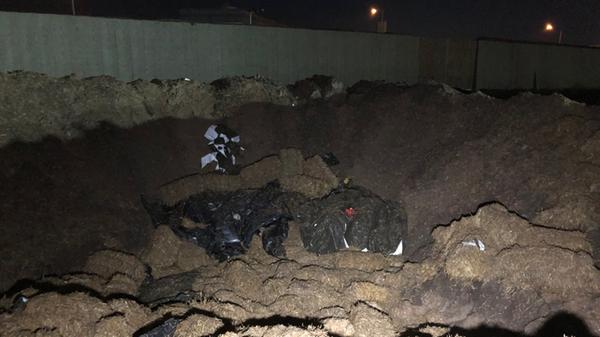 Am 18. Februar 2019 wurde bei Bauarbeiten an der Proeslerstraße in einem Industriegebiet in Höfen eine 250-Kilogramm-Bombe entdeckt. Die Polizei sperrte das Gebiet um den Fundort weiträumig ab, rund 5000 Menschen wurden evakuiert. Die Bombe musste gegen 23 Uhr schließlich kontrolliert gesprengt werden, eine Entschärfung war nicht möglich..