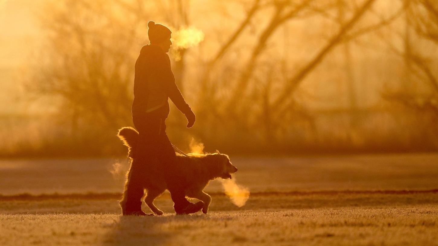 Wer auf Nummer sicher gehen will, sollte seinen Hund an der Leine führen, sodass er nicht unkontrolliert irgendetwas am Wegesrand erwischen kann. 