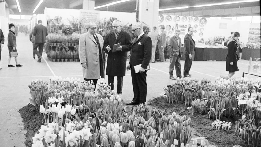 Prächtige Tulpen aller Arten und Farben (Bild), Primeln, Jasmin, Alpenveilchen, Azaleen, Orchideen, Kakteen und Grünpflanzen zaubern echte Frühlingsstimmung in das Europa-Haus. Hier geht es zum Artikel vom 3. März 1969: Blühende Pracht – en gros angeboten