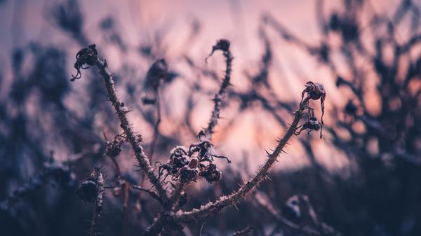 Die Route entlang der Fränkischen Straße der Skulpturen beginnend kurz vor Lohndorf bis Tiefenellern und zurück ist etwa 7,5 Kilometer lang. Der Weg ist leicht zu begehen und auch für Kinderwägen geeignet. Zirka zwei Stunden dauert der Zweiklang von Kunst und Bewegung. Mehr dazu hier.