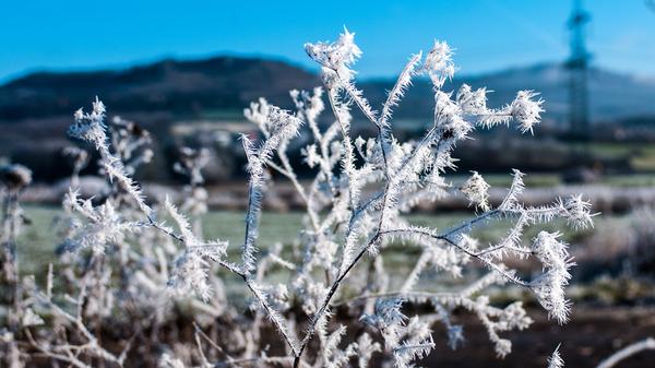 Im Schatten der Giechburg verläuft der Rundwanderweg Scheßlitz. Die Route von Scheßlitz nach Demmelsdorf und wieder zurück ist 5,3 Kilometer lang und dauert rund 1,5 Stunden. Weitere Infos finden Sie hier.