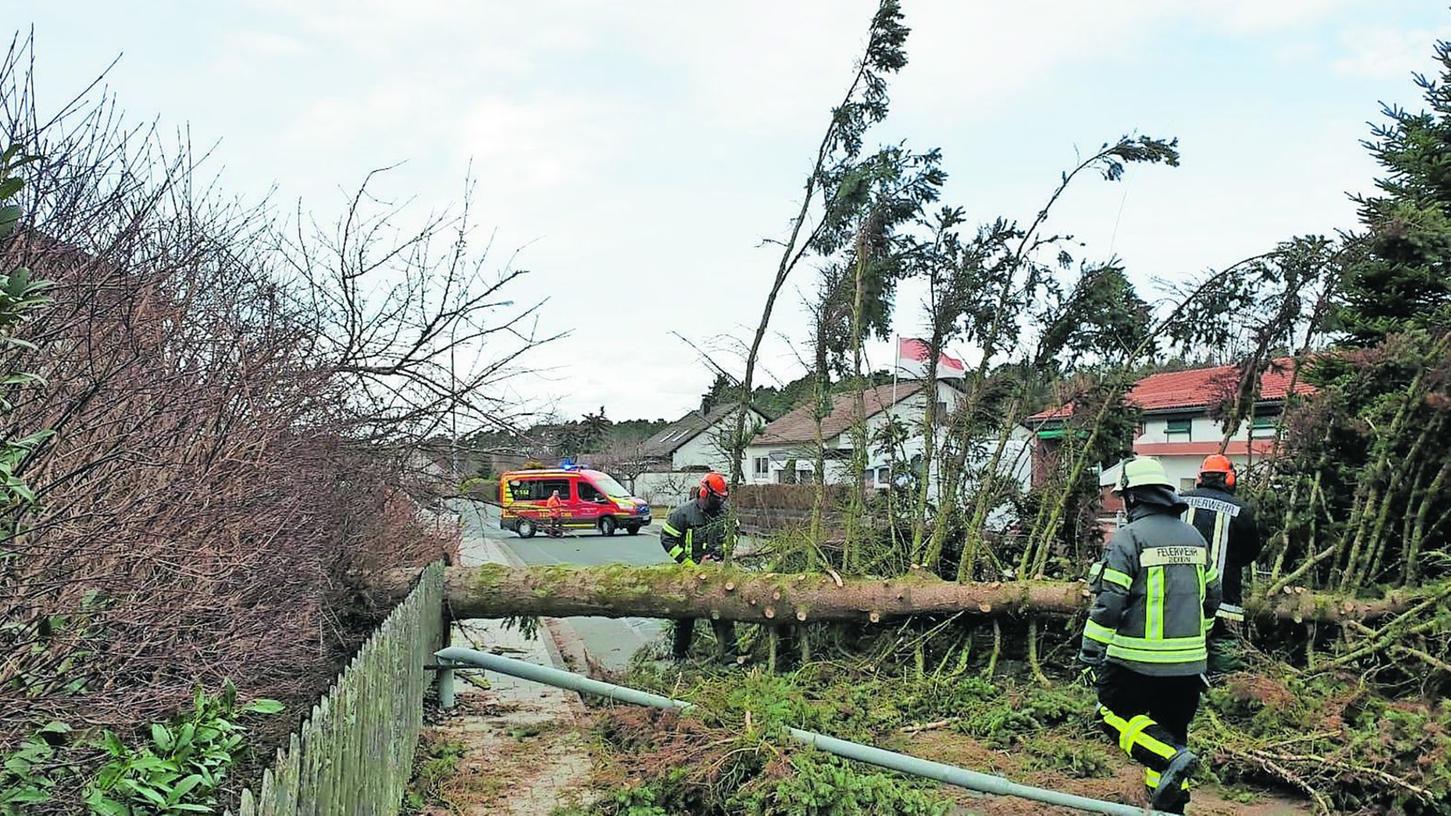 Sturmtief bringt Bäume zu Fall