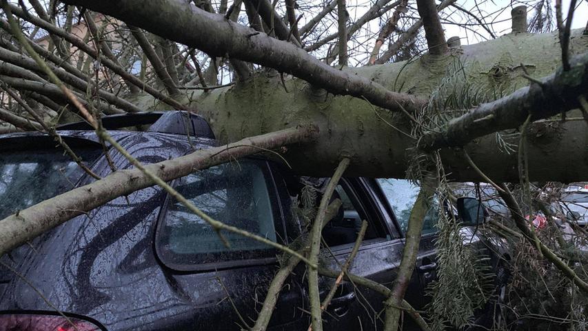 Entwurzelte Bäume, demolierte Autos: Sturmtief wütete in Franken