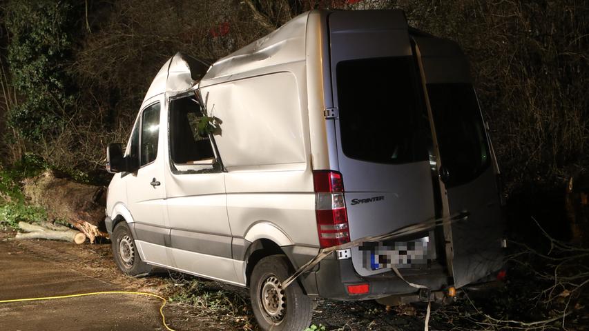 Totalschaden: Entwurzelter Baum prallt in Nürnberg auf Transporter