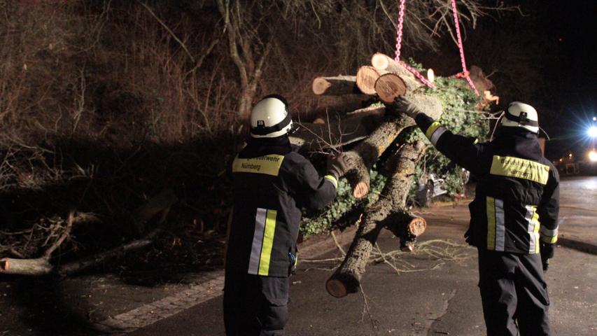 Totalschaden: Entwurzelter Baum prallt in Nürnberg auf Transporter