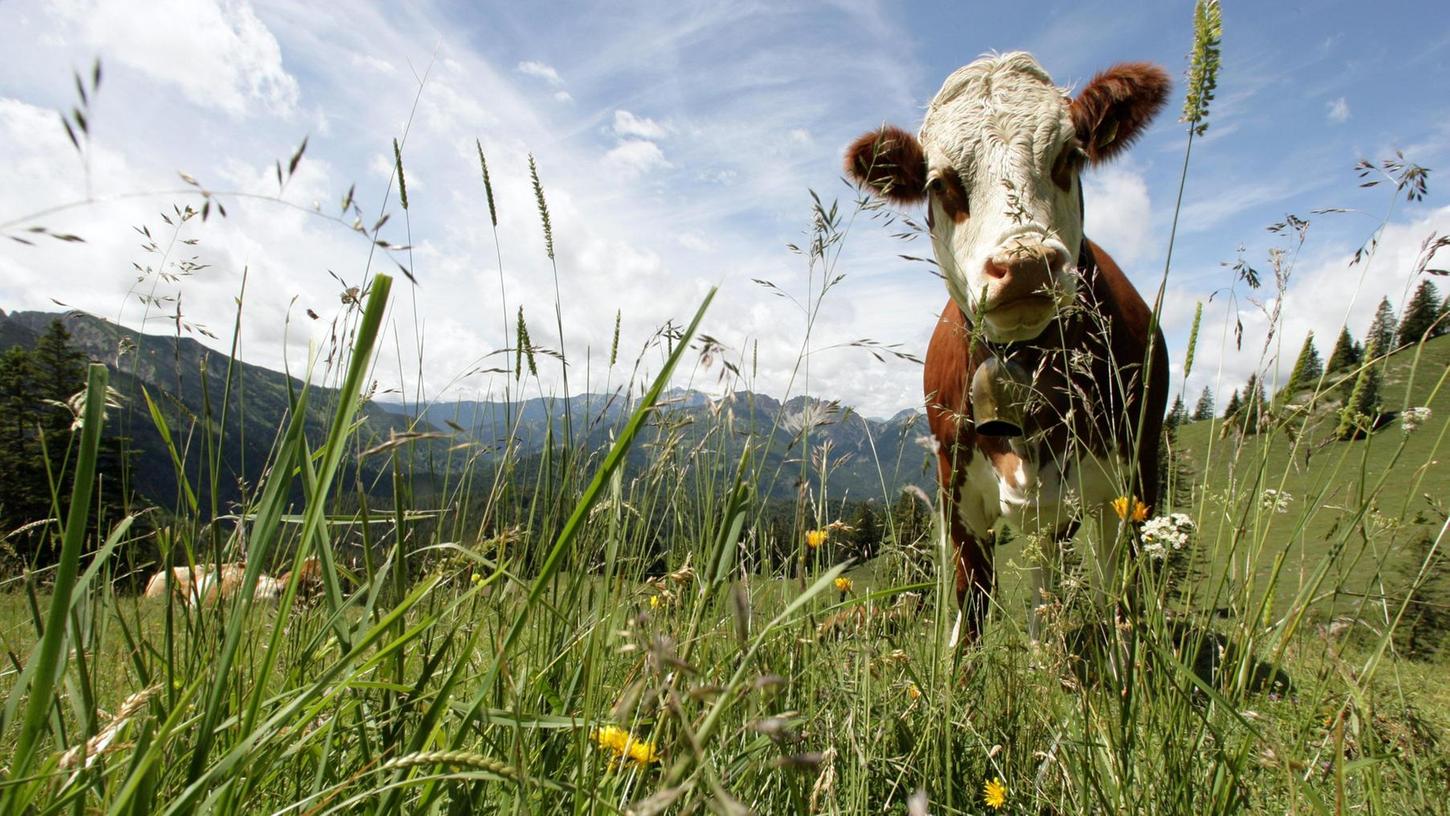 Erzeugergemeinschaft: Auch Zott will gentechnikfreie Milch
