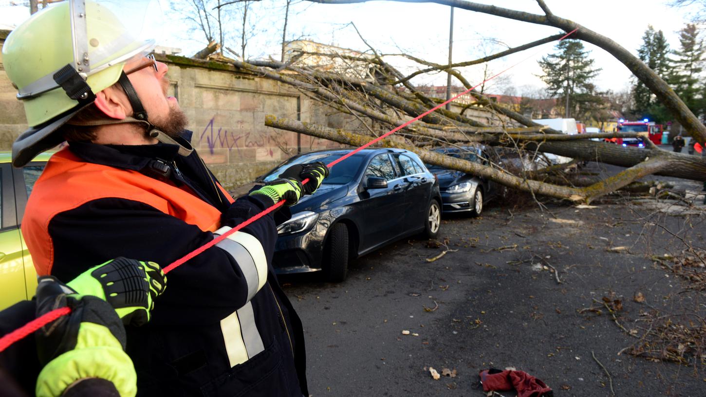 Ein umgestürzter Baum in der Dambacher Straße beschädigte drei Autos.