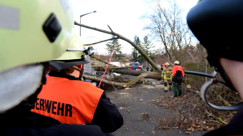 Baum stürzt auf drei Autos: So wütete der Sturm in Fürth