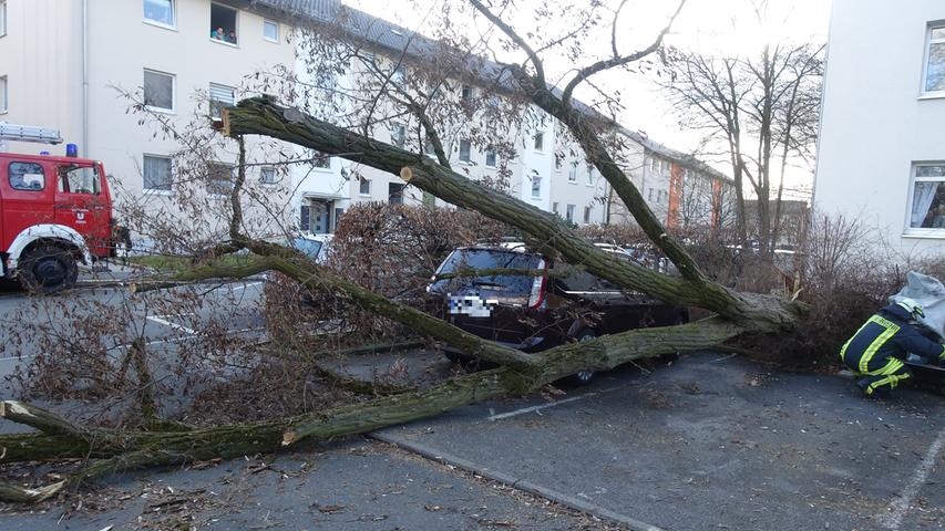 In der Dambacher Straße hat ein Baum beispielsweise drei geparkte Autos unter sich begraben. Verletzt wurde jedoch niemand.