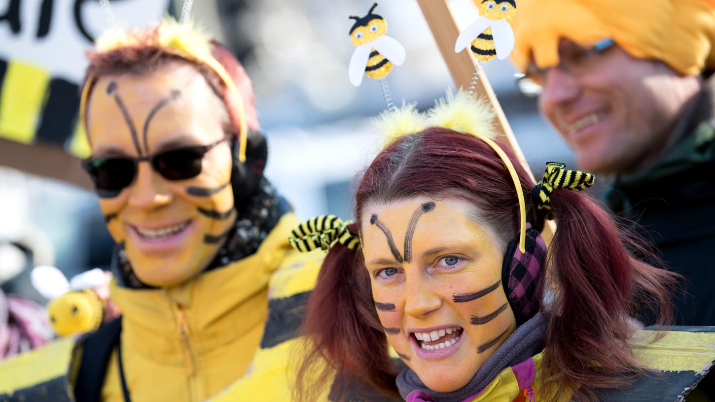 Das "Bienen"-Volksbegehren zur Förderung der Artenvielfalt in Bayern war das erfolgreichste in der Geschichte des Freistaats. Die Initiatoren möchten daran nun mit einem Klima-Volksbegehren anknüpfen.