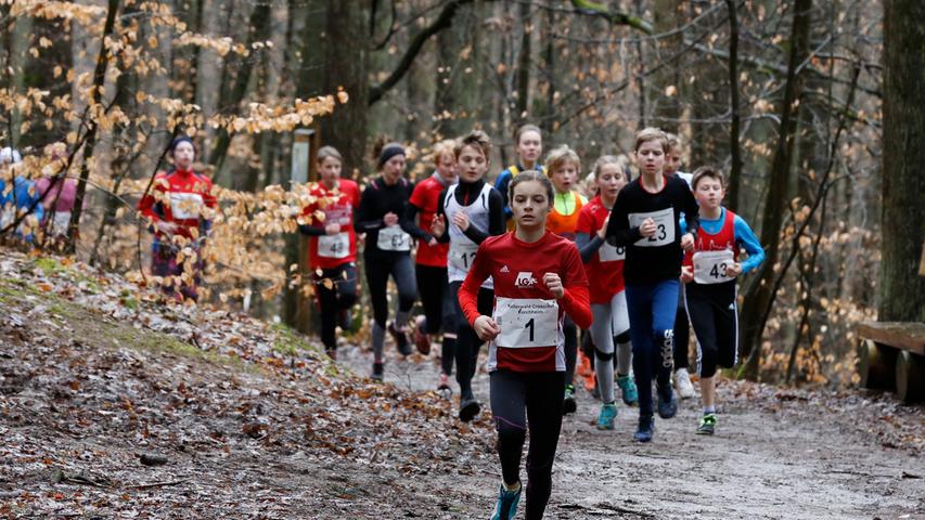 15. Kellerwaldlauf in Forchheim: Crosslauf über Stock und Stein 