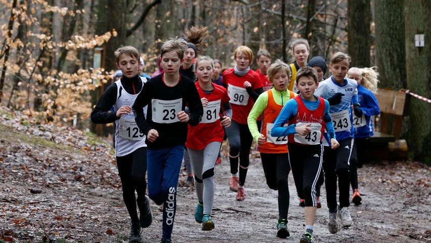 15. Kellerwaldlauf in Forchheim: Crosslauf über Stock und Stein 