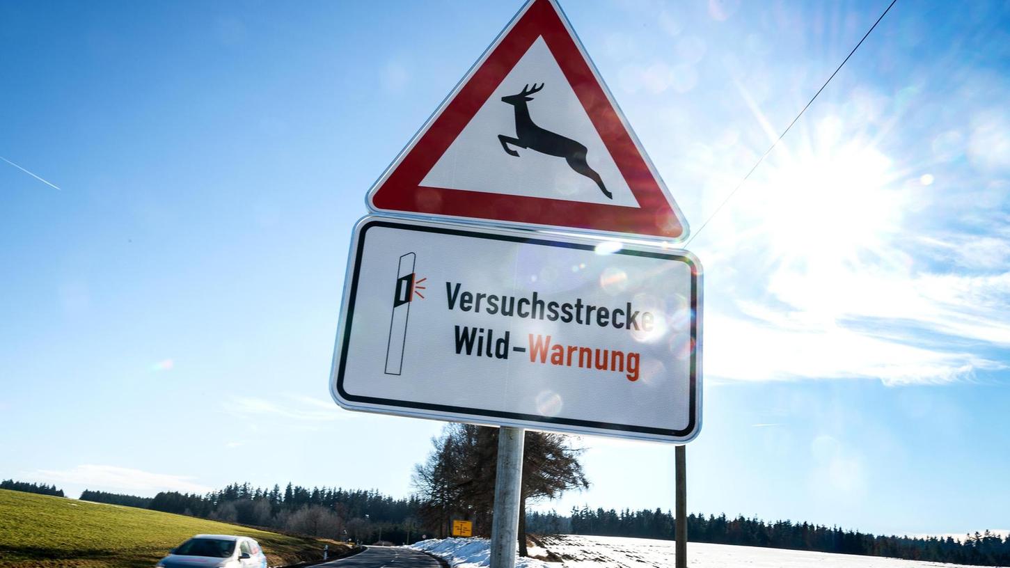 Erlangen-Höchstadt: Zahl der Wildunfälle soll sinken