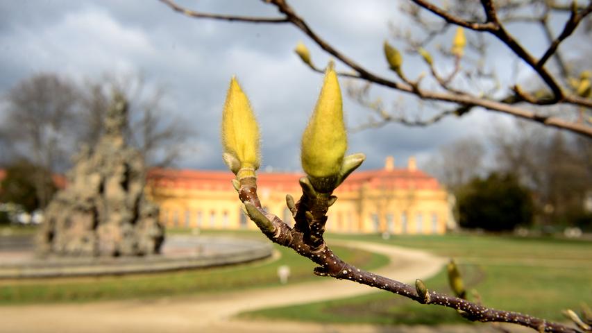 Frühlingserwachen im Erlanger Schlossgarten
