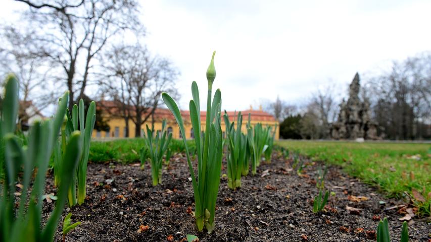 Frühlingserwachen im Erlanger Schlossgarten