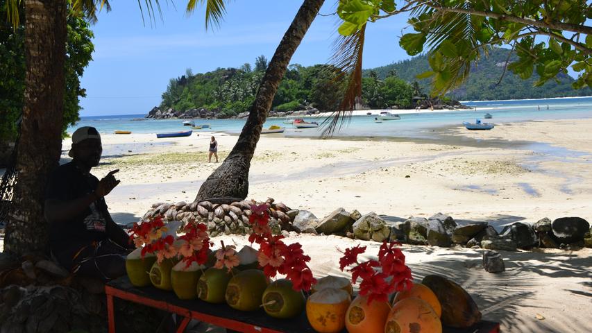 Idylle an einem Strand auf Mahe  Einheimische verkaufen Kokosnüsse. Bei einer Kreuzfahrt mit der Costa Victoria betritt man mit Mauritius, den Seychellen und Madagaskar einige der bekanntesten Inseln des Indischen Ozeans.
