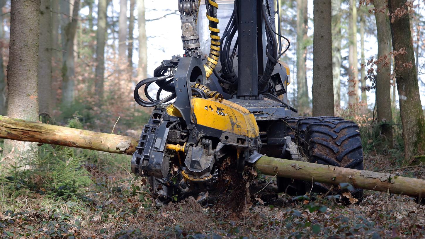 Der Forstbetrieb bittet in den kommenden Wochen am Auerberg um Verständnis, wenn die Wege zeitweise gesperrt oder in Mitleidenschaft gezogen sind. Nach Abfuhr des Käferholzes werden die Wege so rasch wie möglich wieder instandgesetzt.