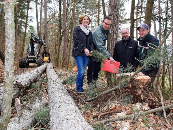  Berching baut Kulturhalle mit Holz aus dem Stadtwald 