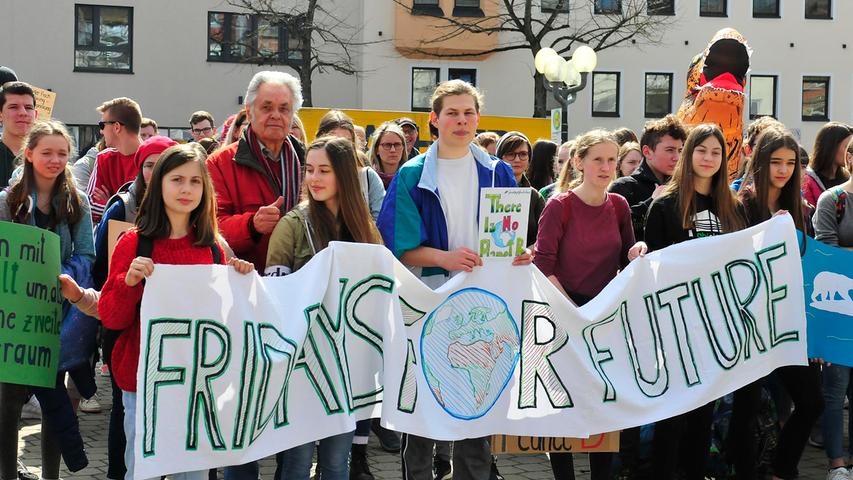 Schüler treten in den Klimastreik: 