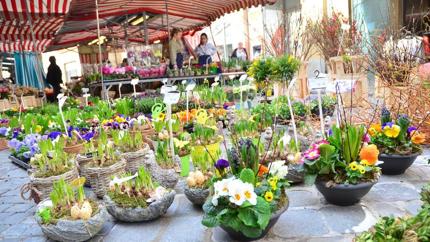 Frühling in Bamberg: Mittfastenmarkt lockt in die Altstadt