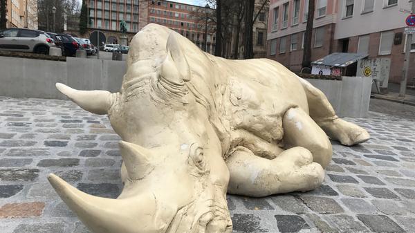 Zahlreiche Statuen und Skulpturen bereichern auch das Nürnberger Stadtbild. Neben kirchlichen und privaten Standbildern und Freiplastiken gehören alleine 230 Statuen und Denkmäler der Stadt. "Das schlafende Nashorn" der Künstlerin Dorota Hadrian liegt seit 2018 am Egidienplatz.