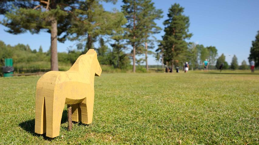 In Dalarna ist das Dalapferd omnipräsent – selbst auf dem Golfplatz .; Bild
