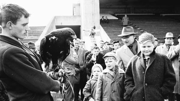 Vor allem für Kinder waren diese Schauen natürlich ein ganz besonderes Spektakel. Für viele Menschen war es eine einmalige Gelegenheit, Greifvögel so nah zu erleben.