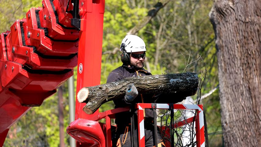 DATUM: 15.04.2019..RESSORT: Lokales ..FOTO: Horst Linke ..MOTIV: Baumarbeiten auf dem Gelände der Bergkirchweih..