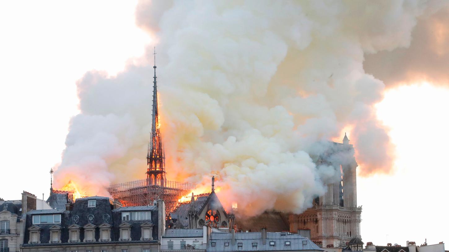 Als Notre-Dame in Flammen stand, sendete die ARD eine Tierdoku.