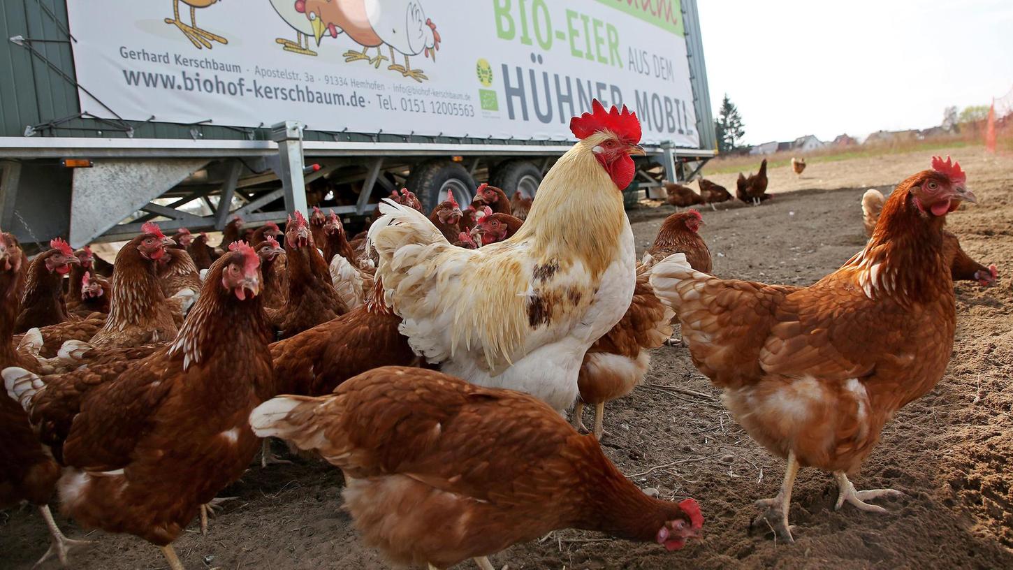 Hemhofen: Hühnermobil hilft Osterhasen