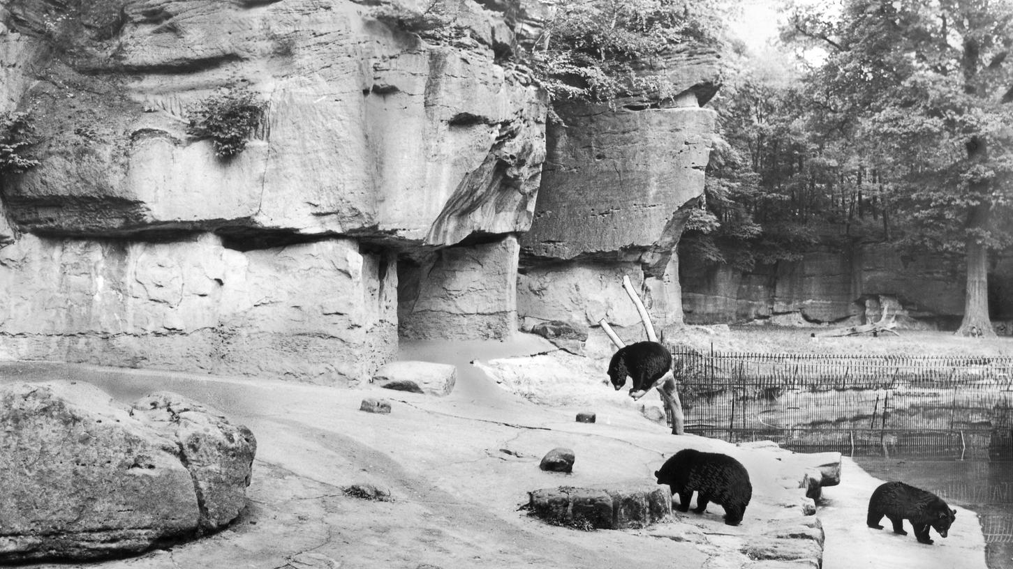 21. April 1969: Tiger brüllen in Orchesterloge